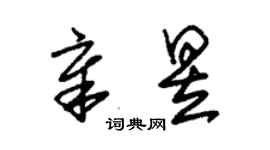 朱锡荣章昱草书个性签名怎么写