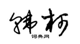 朱锡荣韩柯草书个性签名怎么写