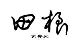 朱锡荣田根草书个性签名怎么写