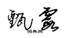 朱锡荣甄霞草书个性签名怎么写