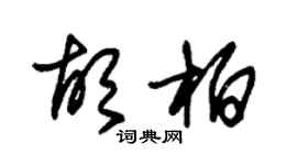 朱锡荣胡柏草书个性签名怎么写