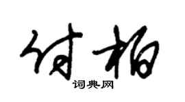 朱锡荣付柏草书个性签名怎么写