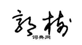 朱锡荣郭树草书个性签名怎么写