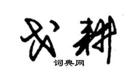 朱锡荣戈耕草书个性签名怎么写