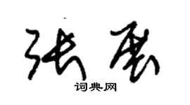 朱锡荣张展草书个性签名怎么写