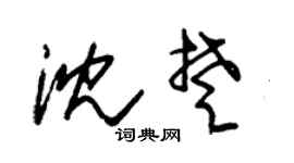 朱锡荣沈楚草书个性签名怎么写