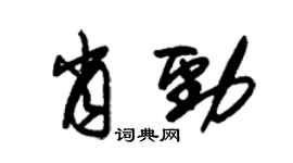 朱锡荣肖劲草书个性签名怎么写