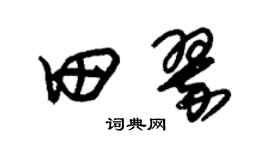 朱锡荣田翠草书个性签名怎么写