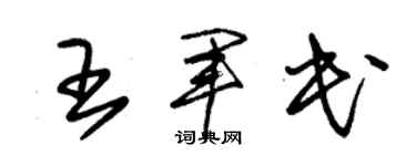 朱锡荣王军民草书个性签名怎么写