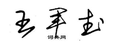 朱锡荣王军武草书个性签名怎么写