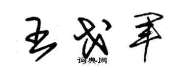 朱锡荣王戈军草书个性签名怎么写