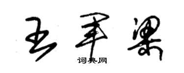 朱锡荣王军梁草书个性签名怎么写