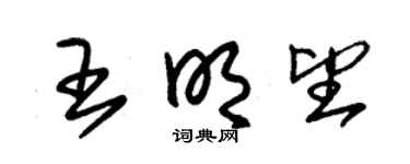 朱锡荣王明望草书个性签名怎么写