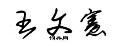 朱锡荣王文宪草书个性签名怎么写