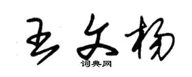 朱锡荣王文杨草书个性签名怎么写