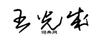 朱锡荣王光成草书个性签名怎么写