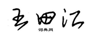 朱锡荣王田江草书个性签名怎么写