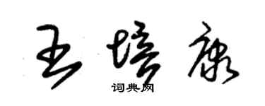 朱锡荣王培康草书个性签名怎么写