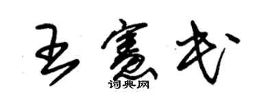 朱锡荣王宪民草书个性签名怎么写