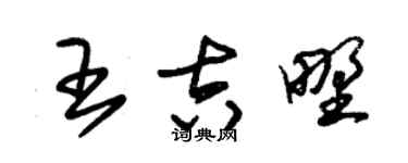 朱锡荣王吉野草书个性签名怎么写