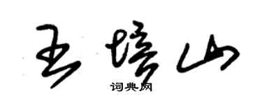 朱锡荣王培山草书个性签名怎么写