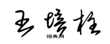 朱锡荣王培柱草书个性签名怎么写