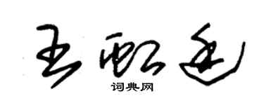 朱锡荣王虹廷草书个性签名怎么写