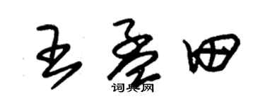 朱锡荣王孟田草书个性签名怎么写