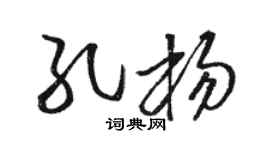 骆恒光孔杨草书个性签名怎么写