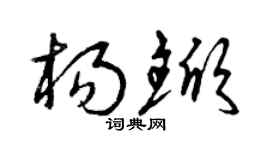 曾庆福杨锨草书个性签名怎么写