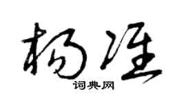 曾庆福杨准草书个性签名怎么写