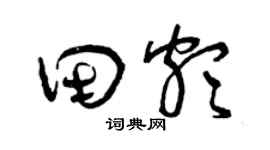 曾庆福田颇草书个性签名怎么写