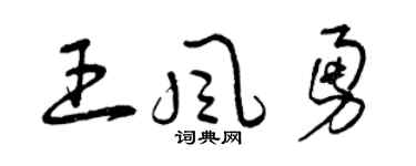 曾庆福王风勇草书个性签名怎么写