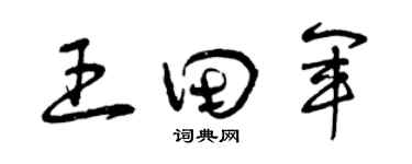 曾庆福王田军草书个性签名怎么写