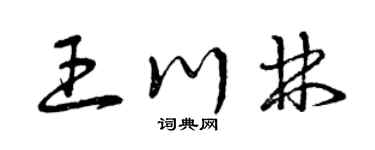 曾庆福王川林草书个性签名怎么写