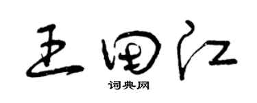 曾庆福王田江草书个性签名怎么写