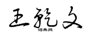 曾庆福王乾文草书个性签名怎么写