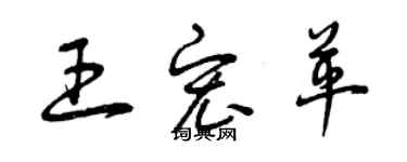 曾庆福王宏革草书个性签名怎么写
