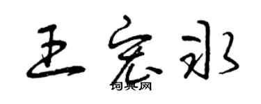 曾庆福王宏冰草书个性签名怎么写