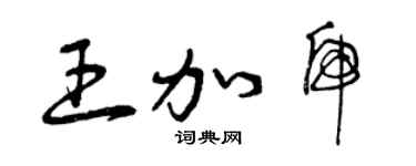 曾庆福王加虎草书个性签名怎么写