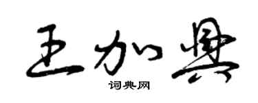 曾庆福王加兴草书个性签名怎么写