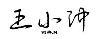 曾庆福王小冲草书个性签名怎么写