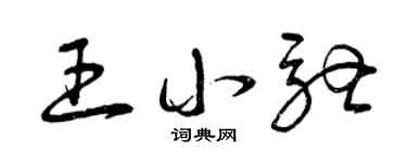 曾庆福王小驰草书个性签名怎么写