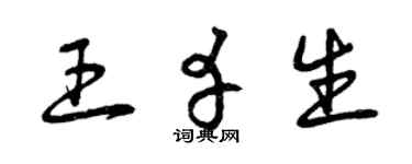 曾庆福王幸生草书个性签名怎么写