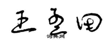 曾庆福王孟田草书个性签名怎么写