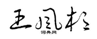 曾庆福王风杉草书个性签名怎么写