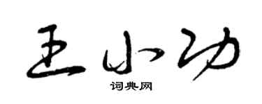 曾庆福王小功草书个性签名怎么写