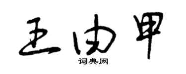 曾庆福王由甲草书个性签名怎么写