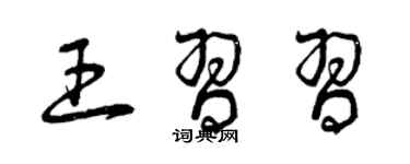 曾庆福王习习草书个性签名怎么写