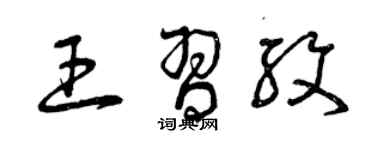 曾庆福王习纹草书个性签名怎么写